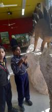 Excursion to History Museum and Bird Park by class 5